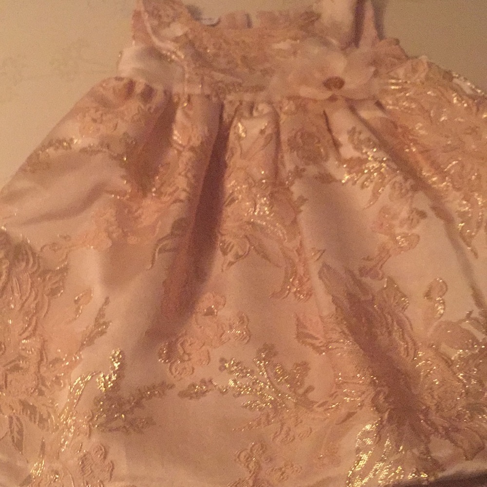 Pink and gold toddler dress worn once